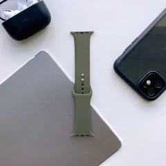 Apple Watch band green TECH-PROTECT IconBand 4/5/6/7/SE (42/44/45mm)